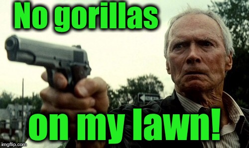 No gorillas on my lawn! | made w/ Imgflip meme maker