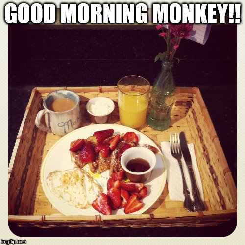 GOOD MORNING MONKEY!! | made w/ Imgflip meme maker