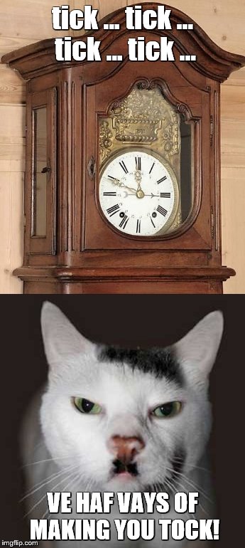 tick ... tick ... tick ... tick ... VE HAF VAYS OF MAKING YOU TOCK! | image tagged in memes,clocks,cats,grammar nazi cat,bad puns | made w/ Imgflip meme maker