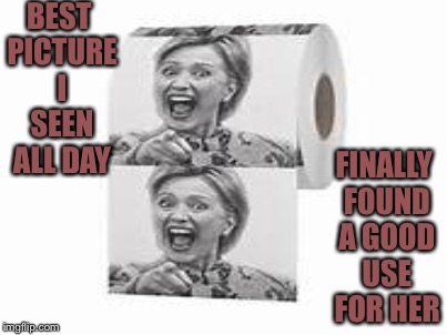 Hip hip hooray!!! | BEST PICTURE I SEEN ALL DAY; FINALLY FOUND A GOOD USE FOR HER | image tagged in memes | made w/ Imgflip meme maker