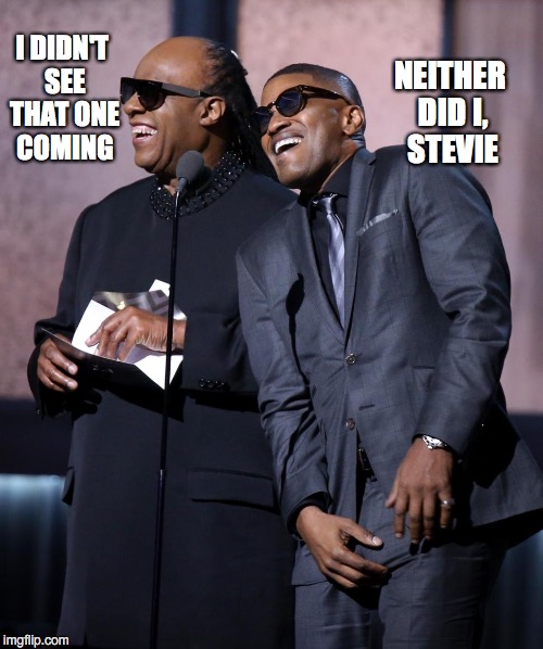 I DIDN'T SEE THAT ONE COMING NEITHER DID I, STEVIE | made w/ Imgflip meme maker