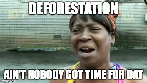 Ain't Nobody Got Time For That | DEFORESTATION; AIN'T NOBODY GOT TIME FOR DAT | image tagged in memes,aint nobody got time for that | made w/ Imgflip meme maker