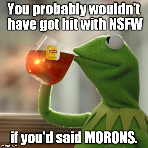 But That's None Of My Business Meme | You probably wouldn't have got hit with NSFW if you'd said MORONS. | image tagged in memes,but thats none of my business,kermit the frog | made w/ Imgflip meme maker