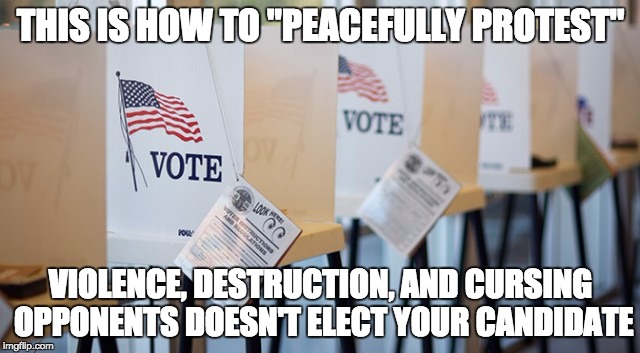 I could make a distinction between how liberals and conservatives generally protest ... but you already know. | THIS IS HOW TO "PEACEFULLY PROTEST"; VIOLENCE, DESTRUCTION, AND CURSING OPPONENTS DOESN'T ELECT YOUR CANDIDATE | image tagged in voting booth,politics | made w/ Imgflip meme maker
