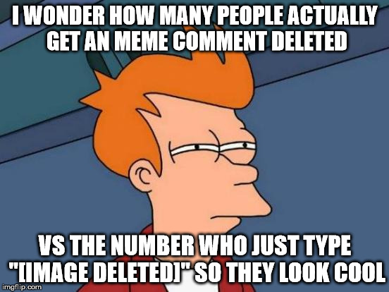 Has anyone ever done this? | I WONDER HOW MANY PEOPLE ACTUALLY GET AN MEME COMMENT DELETED; VS THE NUMBER WHO JUST TYPE "[IMAGE DELETED]" SO THEY LOOK COOL | image tagged in memes,futurama fry | made w/ Imgflip meme maker