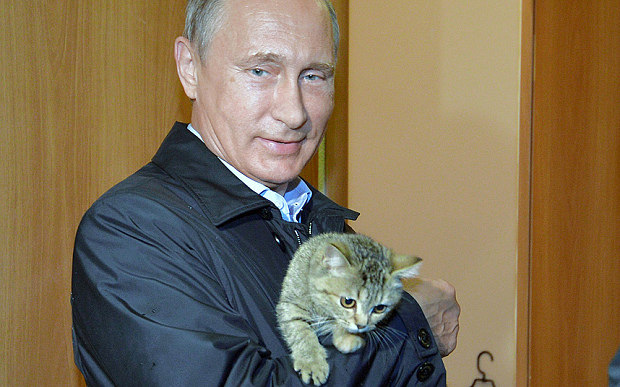 PUTIN CAT PUSSY Blank Meme Template