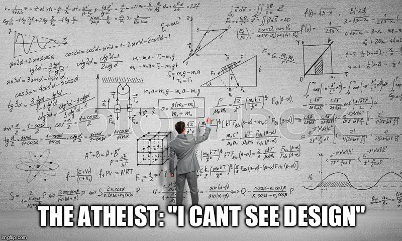 THE ATHEIST: "I CANT SEE DESIGN" | image tagged in i,cant,see,design,no | made w/ Imgflip meme maker