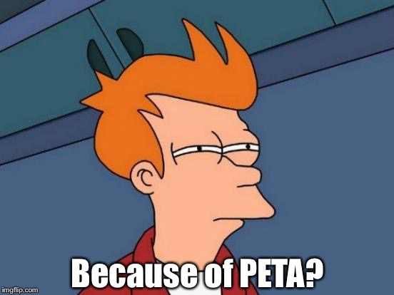 Futurama Fry Meme | Because of PETA? | image tagged in memes,futurama fry | made w/ Imgflip meme maker