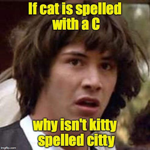 Conspiracy Keanu Meme | If cat is spelled with a C why isn't kitty spelled citty | image tagged in memes,conspiracy keanu | made w/ Imgflip meme maker