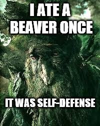 fighting off the beave | I ATE A BEAVER ONCE; IT WAS SELF-DEFENSE | image tagged in sad treebeard | made w/ Imgflip meme maker