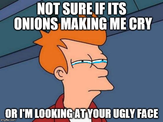 Best comeback when you cry | NOT SURE IF ITS ONIONS MAKING ME CRY; OR I'M LOOKING AT YOUR UGLY FACE | image tagged in memes,futurama fry | made w/ Imgflip meme maker