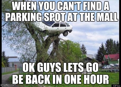 Secure Parking Meme | WHEN YOU CAN'T FIND A PARKING SPOT AT THE MALL; OK GUYS LETS GO BE BACK IN ONE HOUR | image tagged in memes,secure parking | made w/ Imgflip meme maker