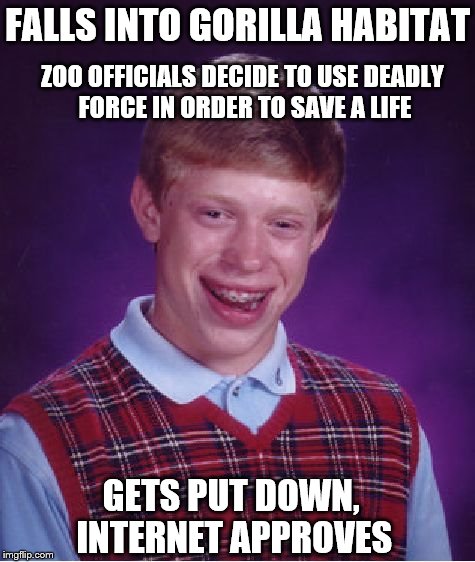 Please! Monitor your BLBs! | FALLS INTO GORILLA HABITAT; ZOO OFFICIALS DECIDE TO USE DEADLY FORCE IN ORDER TO SAVE A LIFE; GETS PUT DOWN, INTERNET APPROVES | image tagged in memes,bad luck brian,dead gorilla | made w/ Imgflip meme maker