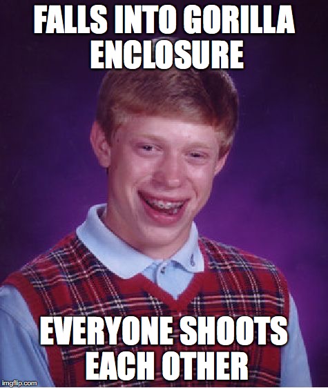 Hue... | FALLS INTO GORILLA ENCLOSURE; EVERYONE SHOOTS EACH OTHER | image tagged in memes,bad luck brian,gorilla,funny | made w/ Imgflip meme maker