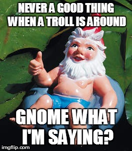 NEVER A GOOD THING WHEN A TROLL IS AROUND GNOME WHAT I'M SAYING? | made w/ Imgflip meme maker