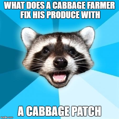 Lame Pun Coon | WHAT DOES A CABBAGE FARMER FIX HIS PRODUCE WITH; A CABBAGE PATCH | image tagged in memes,lame pun coon | made w/ Imgflip meme maker