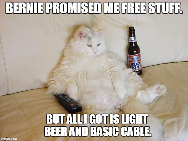 Free Stuff | BERNIE PROMISED ME FREE STUFF. BUT ALL I GOT IS LIGHT BEER AND BASIC CABLE. | image tagged in bernie,sanders,election,meme | made w/ Imgflip meme maker