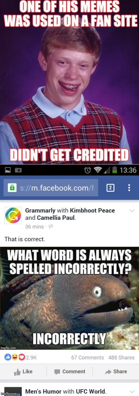 A meme I created, then posted to Grammarly, then they shared it. That's awesome. Though I didn't get tagged, it's still awesome. | ONE OF HIS MEMES WAS USED ON A FAN SITE; DIDN'T GET CREDITED | image tagged in bad luck brian,memes | made w/ Imgflip meme maker