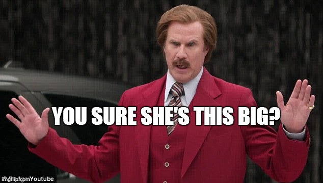 YOU SURE SHE'S THIS BIG? | made w/ Imgflip meme maker