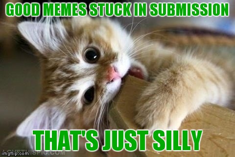 Seems to be happening a lot.. Please feel free to post any of your memes that are stuck in the comments :) |  GOOD MEMES STUCK IN SUBMISSION; THAT'S JUST SILLY | image tagged in that's just silly cat | made w/ Imgflip meme maker