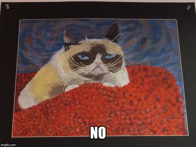 Perfection. I saw this at a high school art show | NO | image tagged in grumpy cat,memes | made w/ Imgflip meme maker