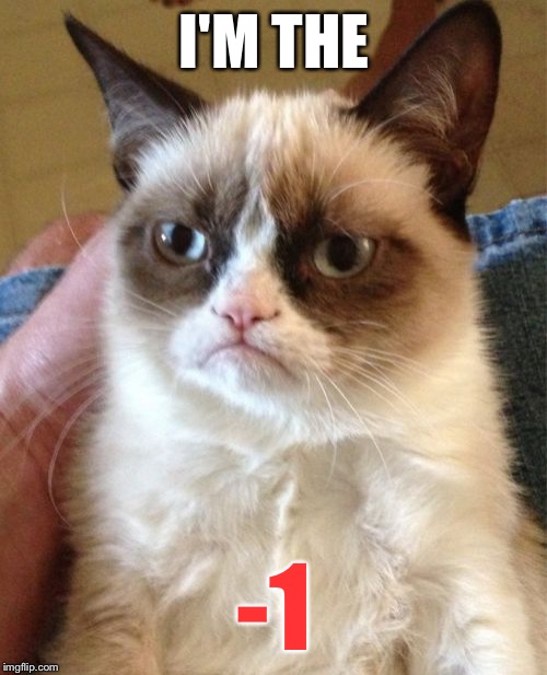 Grumpy Cat Meme | I'M THE -1 | image tagged in memes,grumpy cat | made w/ Imgflip meme maker