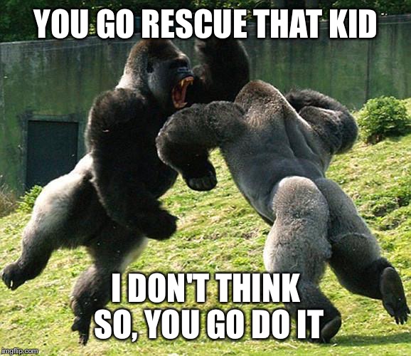 GorillaFight | YOU GO RESCUE THAT KID; I DON'T THINK SO, YOU GO DO IT | image tagged in gorillafight | made w/ Imgflip meme maker