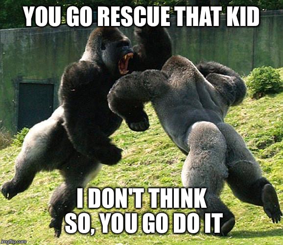 GorillaFight Imgflip
