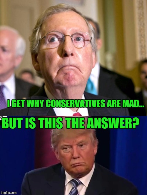 Yeesh! | I GET WHY CONSERVATIVES ARE MAD... BUT IS THIS THE ANSWER? | image tagged in donald trump,mitch mcconnell | made w/ Imgflip meme maker