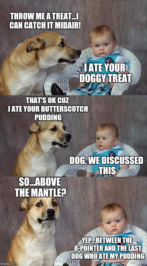 Dad Joke Dog | THROW ME A TREAT...I CAN CATCH IT MIDAIR! I ATE YOUR DOGGY TREAT; THAT'S OK CUZ I ATE YOUR BUTTERSCOTCH PUDDING; DOG, WE DISCUSSED THIS; SO...ABOVE THE MANTLE? YEP...BETWEEN THE 8-POINTER AND THE LAST DOG WHO ATE MY PUDDING | image tagged in memes,dad joke dog | made w/ Imgflip meme maker