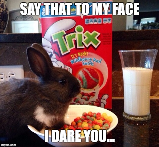 Silly Rabbit | SAY THAT TO MY FACE; I DARE YOU... | image tagged in rabbits | made w/ Imgflip meme maker