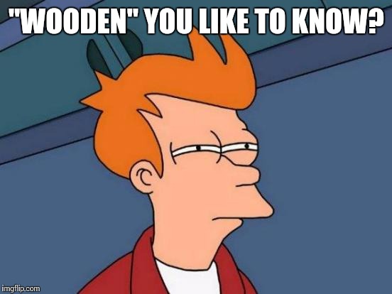 Futurama Fry Meme | "WOODEN" YOU LIKE TO KNOW? | image tagged in memes,futurama fry | made w/ Imgflip meme maker