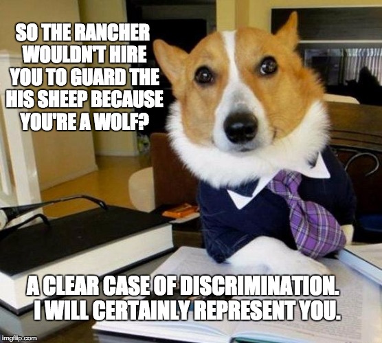Lawyer dog | SO THE RANCHER WOULDN'T HIRE YOU TO GUARD THE HIS SHEEP BECAUSE YOU'RE A WOLF? A CLEAR CASE OF DISCRIMINATION.  I WILL CERTAINLY REPRESENT YOU. | image tagged in lawyer dog | made w/ Imgflip meme maker