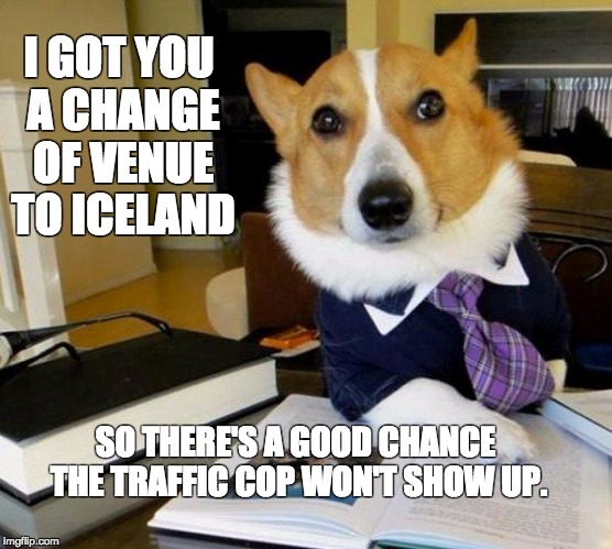 Lawyer dog | I GOT YOU A CHANGE OF VENUE TO ICELAND; SO THERE'S A GOOD CHANCE THE TRAFFIC COP WON'T SHOW UP. | image tagged in lawyer dog | made w/ Imgflip meme maker