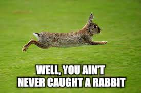 WELL, YOU AIN'T NEVER CAUGHT A RABBIT | made w/ Imgflip meme maker