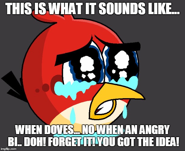 Sad birds | THIS IS WHAT IT SOUNDS LIKE... WHEN DOVES... NO WHEN AN ANGRY BI.. DOH! FORGET IT! YOU GOT THE IDEA! | image tagged in sad birds | made w/ Imgflip meme maker