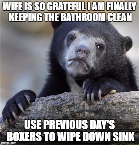 Confession Bear Meme | WIFE IS SO GRATEFUL I AM FINALLY KEEPING THE BATHROOM CLEAN; USE PREVIOUS DAY'S BOXERS TO WIPE DOWN SINK | image tagged in memes,confession bear,AdviceAnimals | made w/ Imgflip meme maker