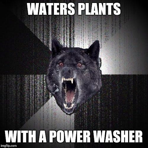 Insanity Wolf | WATERS PLANTS; WITH A POWER WASHER | image tagged in memes,insanity wolf,AdviceAnimals | made w/ Imgflip meme maker