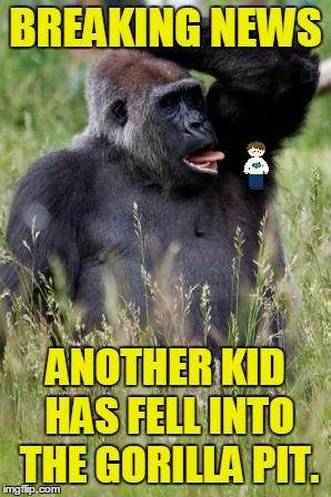 I heard it stinks there. | BREAKING NEWS; ANOTHER KID HAS FELL INTO THE GORILLA PIT. | image tagged in memes,gorilla,armpit,zoo,funny,bad pun gorilla | made w/ Imgflip meme maker