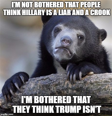 Neither belongs in the White House. | I'M NOT BOTHERED THAT PEOPLE THINK HILLARY IS A LIAR AND A CROOK; I'M BOTHERED THAT THEY THINK TRUMP ISN'T | image tagged in memes,confession bear | made w/ Imgflip meme maker