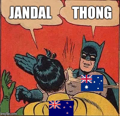 Kiwi vs. Aussie | JANDAL; THONG | image tagged in memes,batman slapping robin,new zealand,language,australians | made w/ Imgflip meme maker