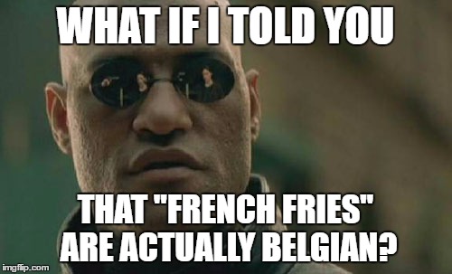 Matrix Morpheus Meme | WHAT IF I TOLD YOU THAT "FRENCH FRIES" ARE ACTUALLY BELGIAN? | image tagged in memes,matrix morpheus | made w/ Imgflip meme maker