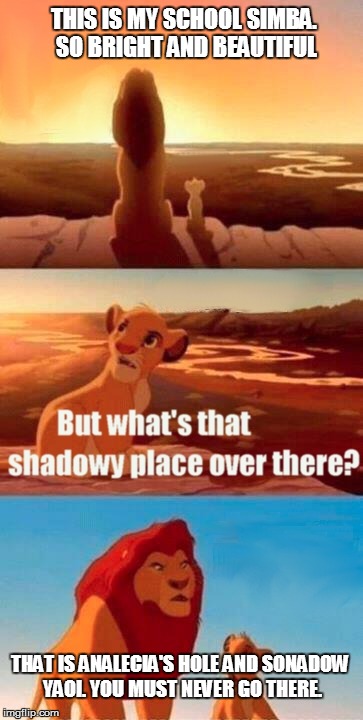 Simba Shadowy Place | THIS IS MY SCHOOL SIMBA. SO BRIGHT AND BEAUTIFUL; THAT IS ANALECIA'S HOLE AND SONADOW YAOI. YOU MUST NEVER GO THERE. | image tagged in memes,simba shadowy place | made w/ Imgflip meme maker