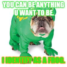 YOU CAN BE ANYTHING U WANT TO BE. I IDENTIFY AS A FROG. | made w/ Imgflip meme maker