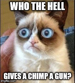 Grumpy Cat Shocked | WHO THE HELL GIVES A CHIMP A GUN? | image tagged in grumpy cat shocked | made w/ Imgflip meme maker