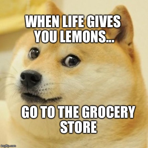 Doge Meme | WHEN LIFE GIVES YOU LEMONS... GO TO THE GROCERY STORE | image tagged in memes,doge | made w/ Imgflip meme maker