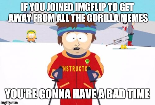 Super Cool Ski Instructor | IF YOU JOINED IMGFLIP TO GET AWAY FROM ALL THE GORILLA MEMES; YOU'RE GONNA HAVE A BAD TIME | image tagged in memes,super cool ski instructor | made w/ Imgflip meme maker