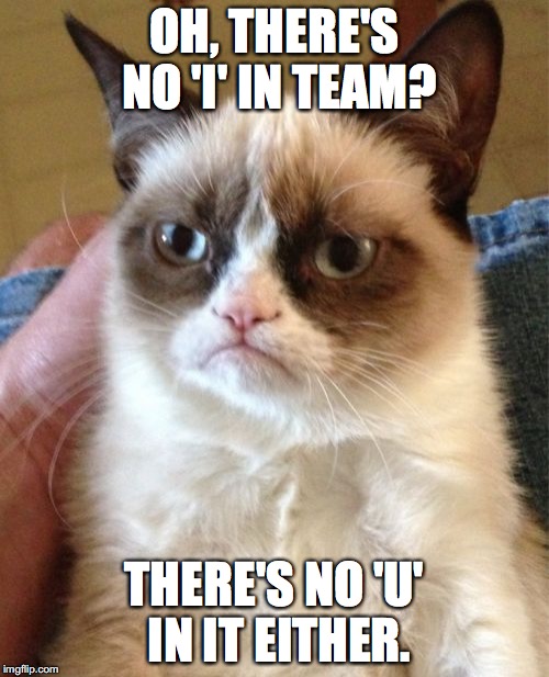 Grumpy Cat | OH, THERE'S NO 'I' IN TEAM? THERE'S NO 'U' IN IT EITHER. | image tagged in memes,grumpy cat | made w/ Imgflip meme maker