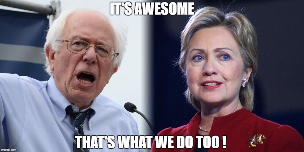 Hillary and Bernie | IT'S AWESOME; THAT'S WHAT WE DO TOO ! | image tagged in hillary and bernie | made w/ Imgflip meme maker