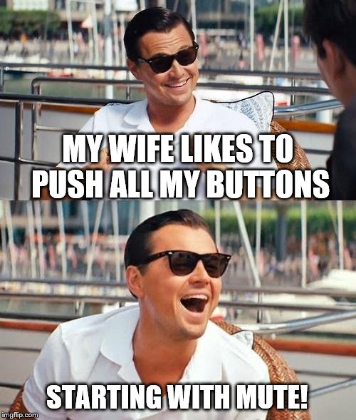 Leonardo Dicaprio Wolf Of Wall Street | MY WIFE LIKES TO PUSH ALL MY BUTTONS; STARTING WITH MUTE! | image tagged in memes,leonardo dicaprio wolf of wall street | made w/ Imgflip meme maker